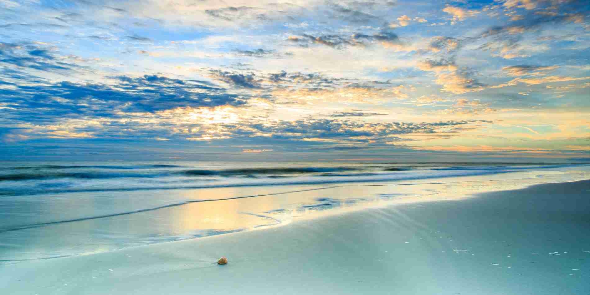 Real Estate Careers and Jobs Jacksonville FL Brad Officer REALTOR Group